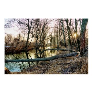 Winter Woodland Sunset Poster