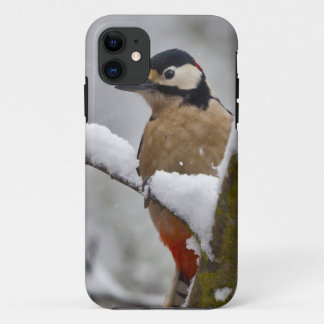 Winter Woodpecker iPhone 5 Case-Mate Case