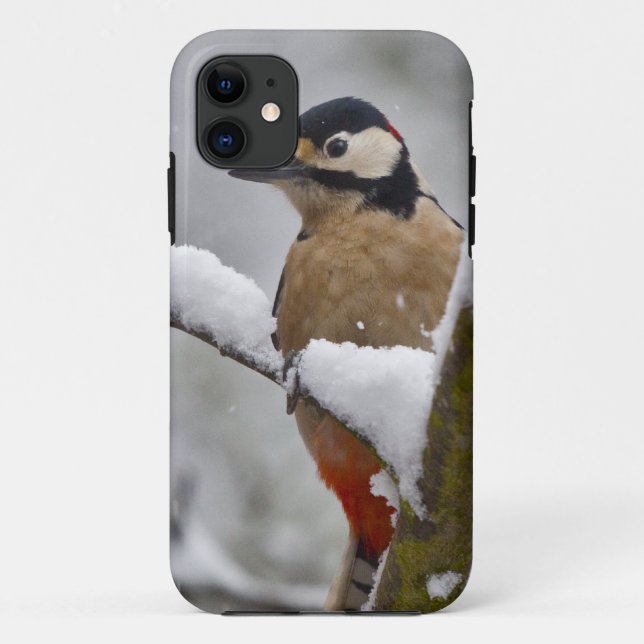 Winter Woodpecker iPhone 5 Case-Mate Case (Back)