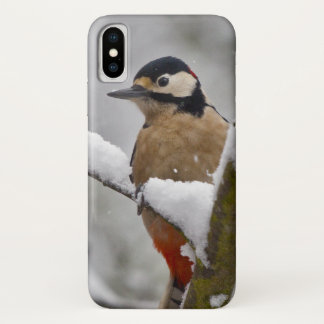Winter Woodpecker iPhone X Case