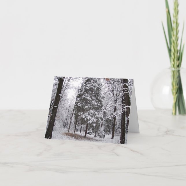 Winter Woods Blank Greeting Card (Front)