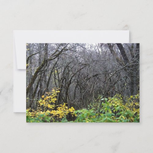 Winter woods cards
