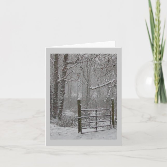 Winter woods snow scene greeting cards (Front)