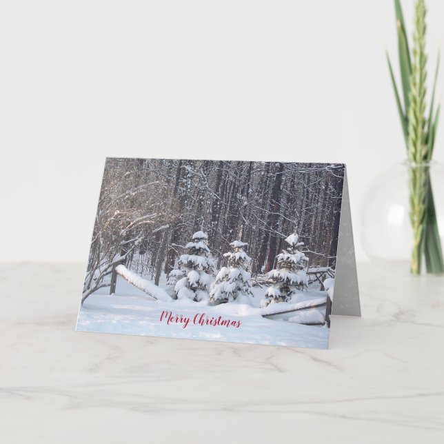 Winter Woods with pine tree Card (Front)