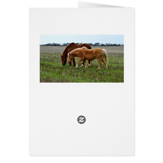 Winter Woolly Horses, (Back)