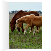 Winter Woolly Horses, Cards (Inside (Right))