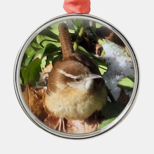 Winter Wren Metal Ornament (Front)