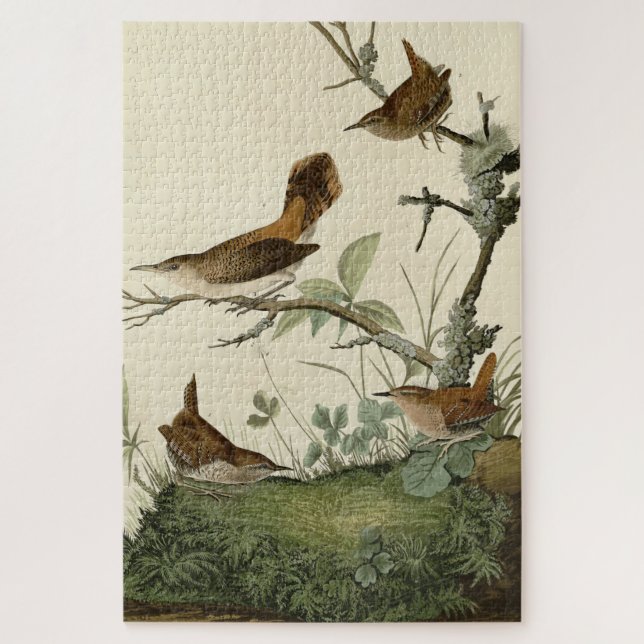 Winter Wren, Rock Wren, Audubon's Birds of America Jigsaw Puzzle (Vertical)
