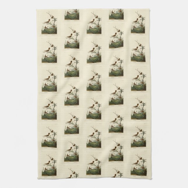 Winter Wren, Rock Wren, Audubon's Birds of America Kitchen Towel (Vertical)