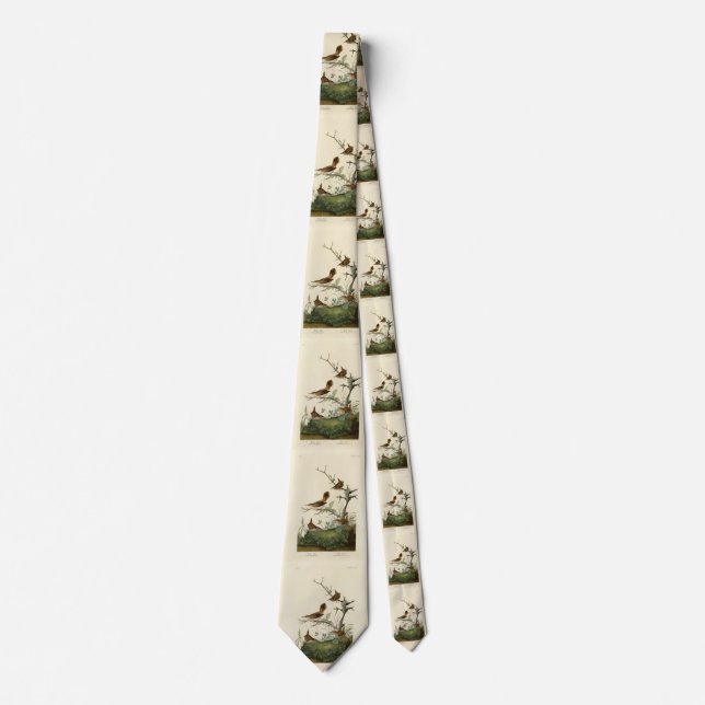 Winter Wren, Rock Wren, Audubon's Birds of America Neck Tie (Front)