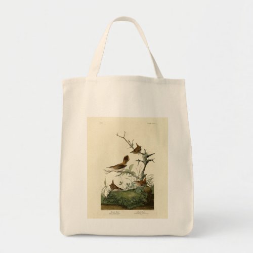 Winter Wren Rock Wren Audubons Birds of America Tote Bag