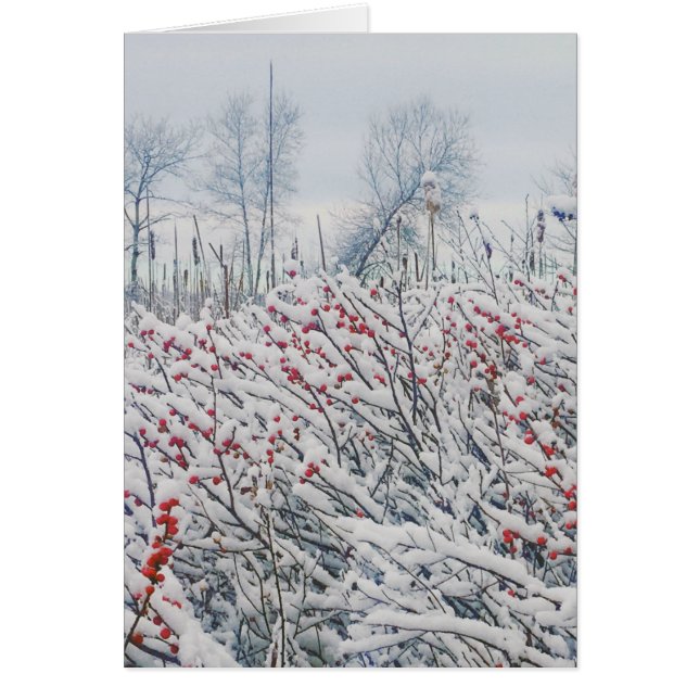winterberry and cattails cards (Front)