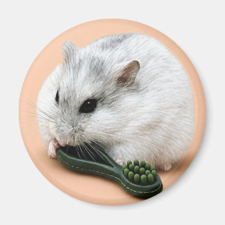 Winterberry the hamster chewing on a chew toy magnet