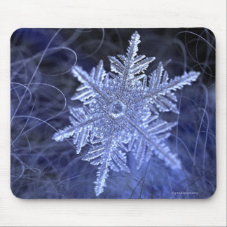 Winterborn (2015) mouse pad