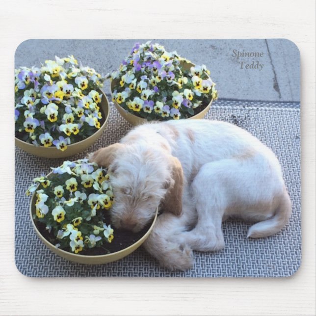 Winterborn Spinone ~ Teddy ~ Sleeping w/Pansies Mouse Pad (Front)