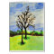Wintering Pecan Trees in Georgia
