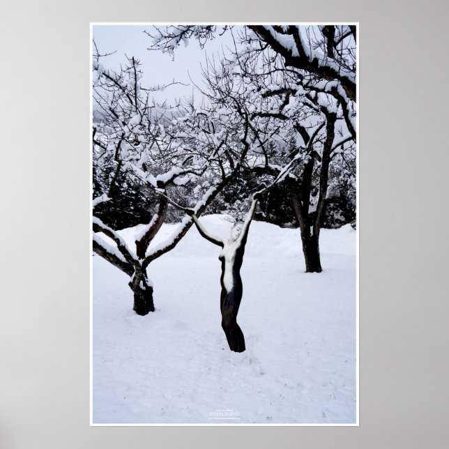 Winterland by Johannes Stötter Poster (Front)