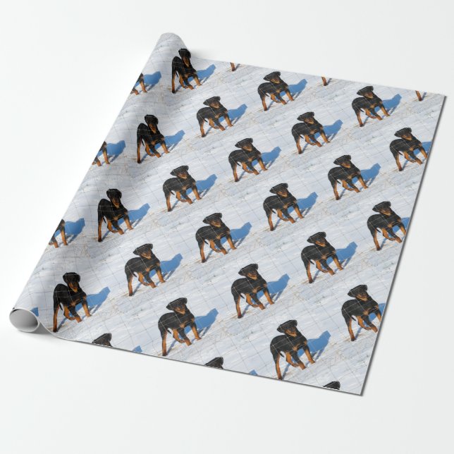 Winterland Rottweiler Wrapping Paper (Unrolled)
