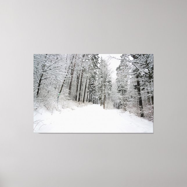 winterland wrapped canvas print (Front)