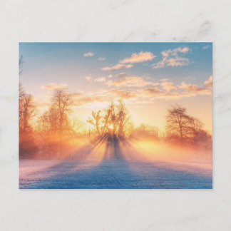 Winterliche Postkarte Postcard