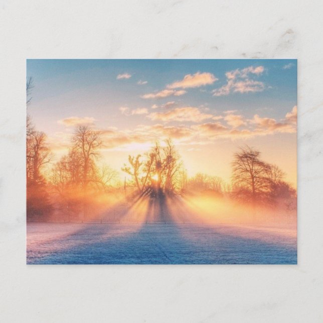 Winterliche Postkarte Postcard (Front)