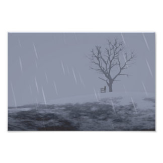 Winter's Chill Photo Print