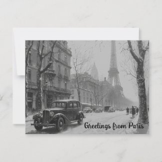 Winter's Embrace in Paris