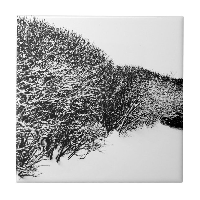 winter's hedge ceramic tile (Front)