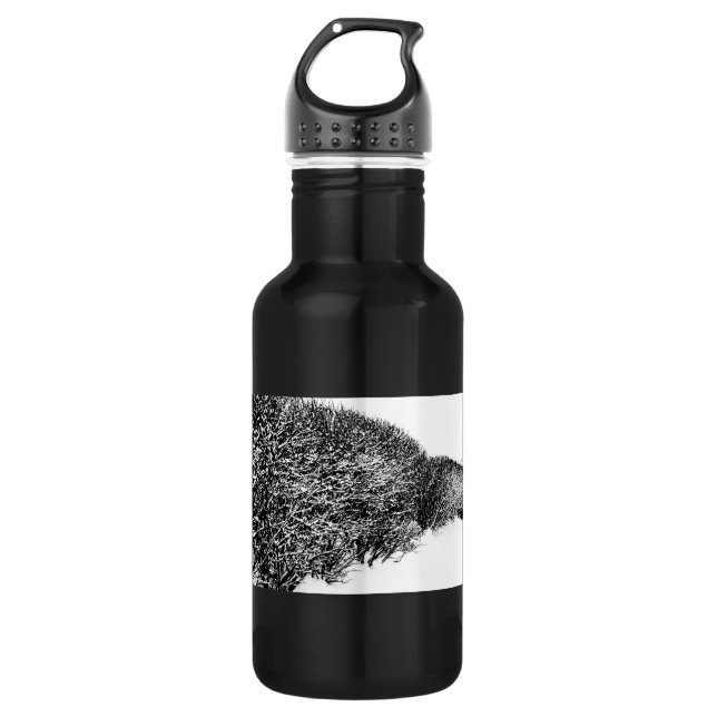 winter's hedge water bottle (Front)