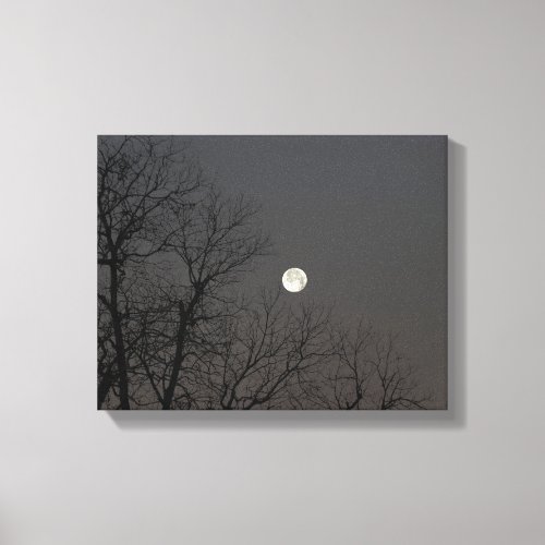 Winters January full moon   Canvas Print