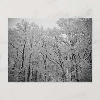 Winter's last breath postcard