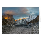 Winter's Mark (Front Horizontal)