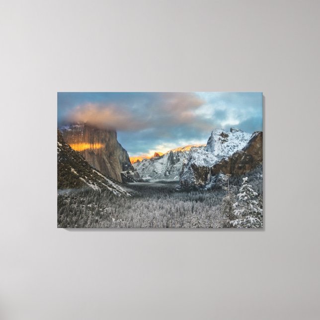Winter's Mark Canvas Print (Front)