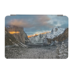 Winter's Mark iPad Mini Cover