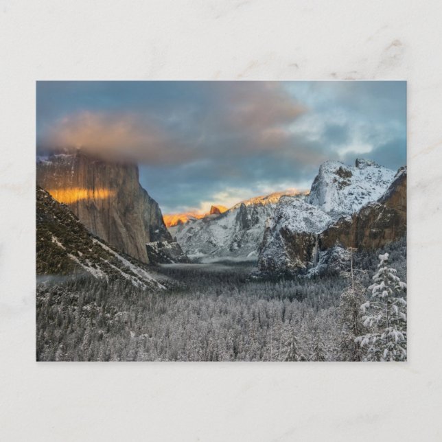 Winter's Mark Postcard (Front)