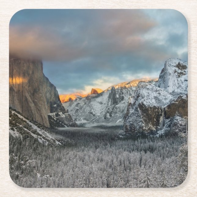 Winter's Mark Square Paper Coaster (Front)