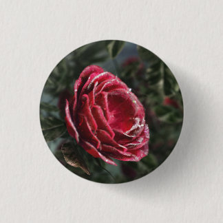 Winter's Parting Gift Button