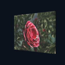 Winter's Parting Gift Canvas Print