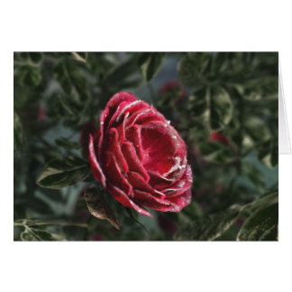 Winter's Parting Gift Card