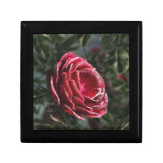 Winter's Parting Gift Jewelry Box
