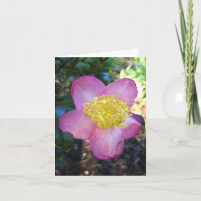 Winters Star Camelia Photo Folded Note Card (Front)