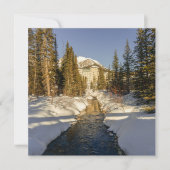 Winter's Touch at Lake Louise (Front)