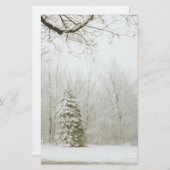 Winter's Trees (Front/Back)