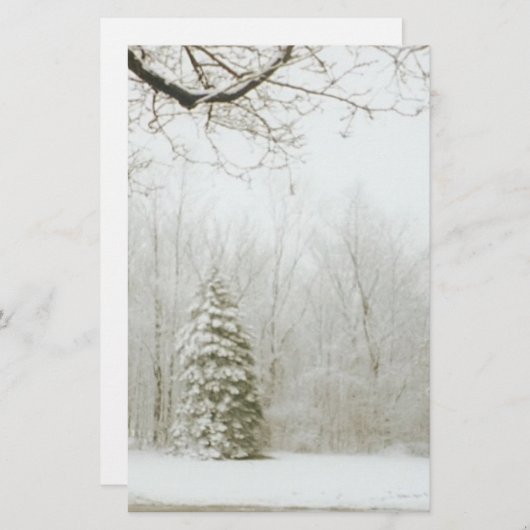 Winter's Trees (Front/Back)