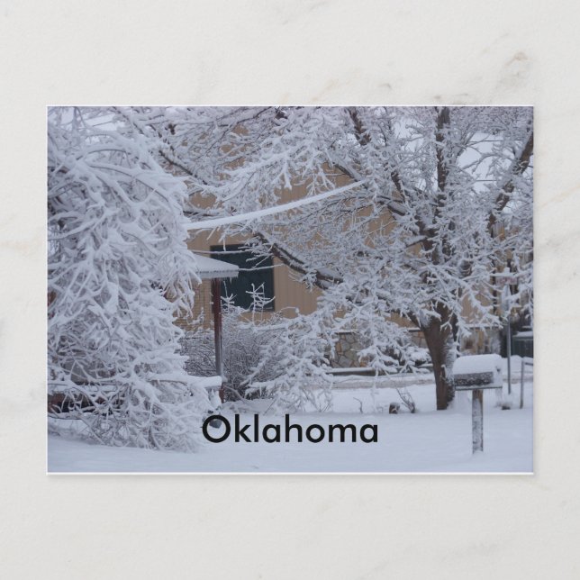 Winterstorm 2010(Oklahoma) Postcard (Front)