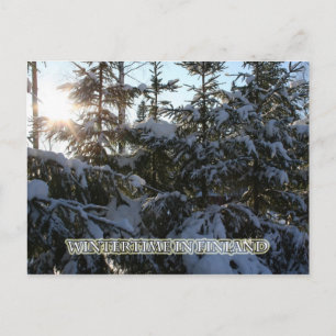 Wintertime in Finland Postcard