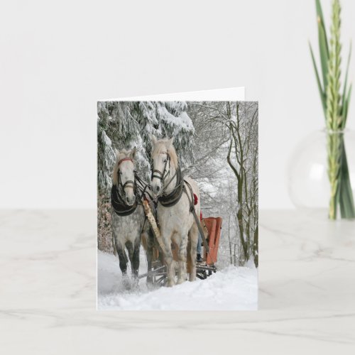 Wintertime Sleigh Ride Holiday Card