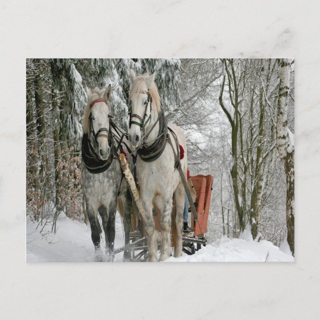 Wintertime Sleigh Ride Postcard (Front)