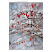 Wintery Red Berries Card (Front)