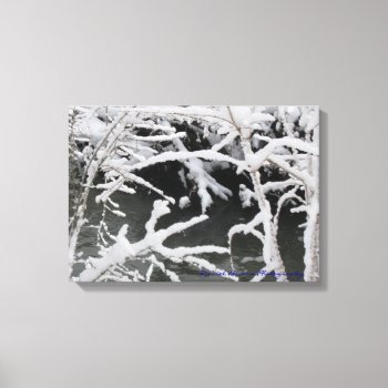 Wintery Stream Wrapped Canvas by dbrown0310 at Zazzle